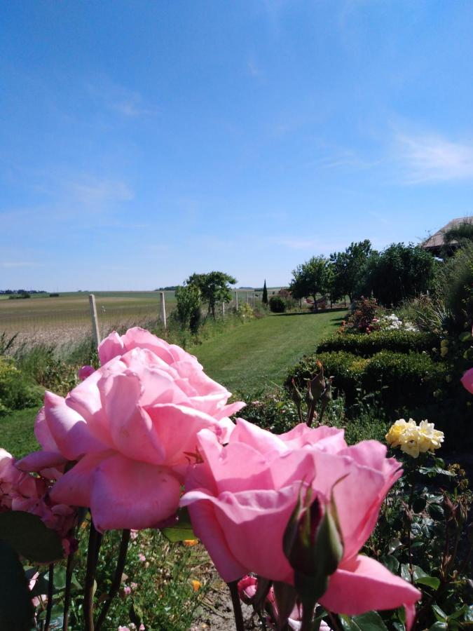 A L Epoque Bouges (Indre) Exterior photo